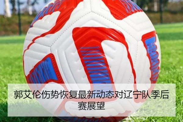 郭艾伦伤势恢复最新动态对辽宁队季后赛展望
